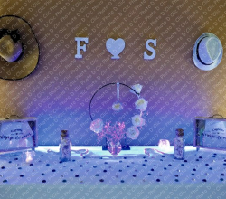 F&S